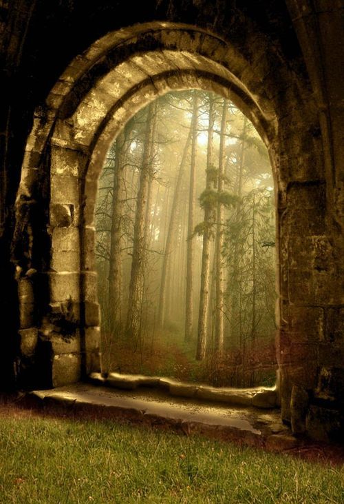 The enchanted wood portal by besttravelphotos