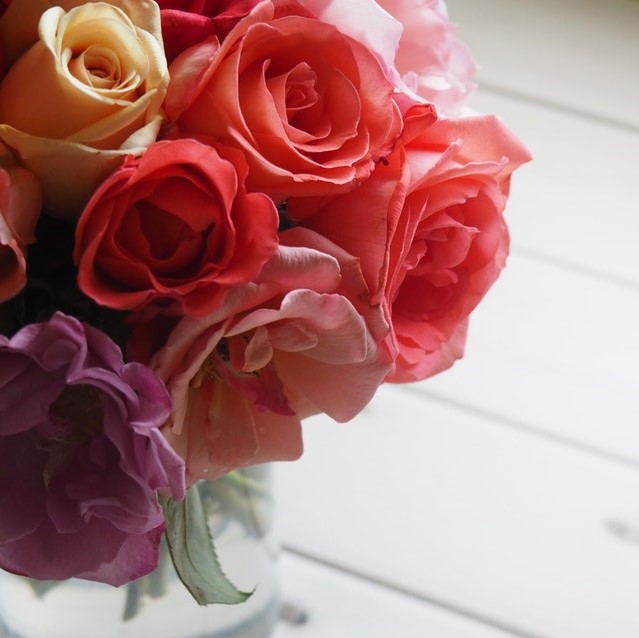 Close up of roses in different colours