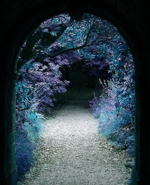 Forest Portal Hever Castle Kent England by besttravelphotos