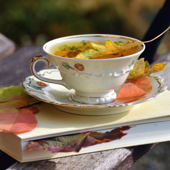 Teacup and saucer resting on a book with autumn leaves falling onto both